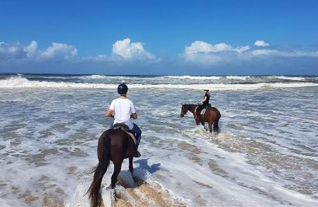 Tassiriki Ranch Beach Horse Riding & Holiday Cabins