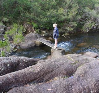 Washpool National Park