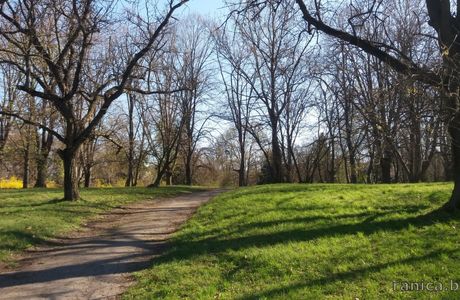Mladezhki Park