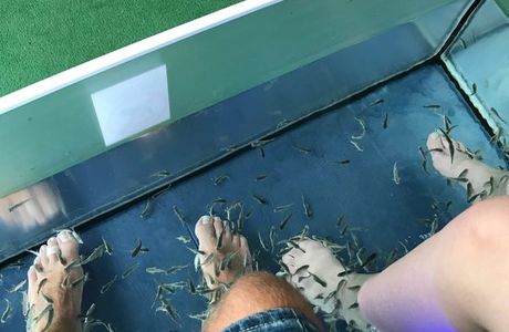 Beach Fish Spa