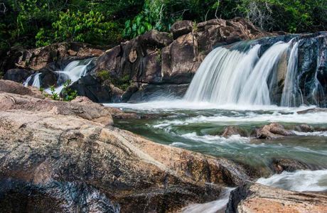 Rio Bravo Forest Reserve