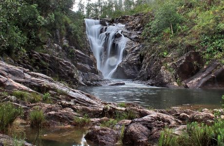 Mountain Pine Ridge Forest Reserve
