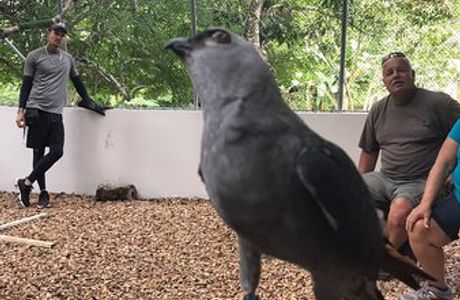 Belize Raptor Center