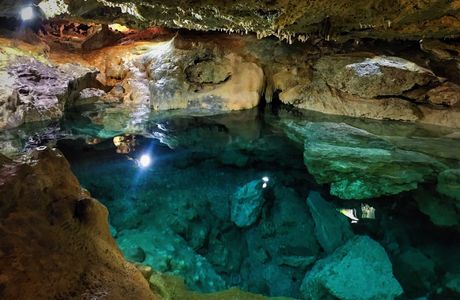 Las Cuevas Biological Station