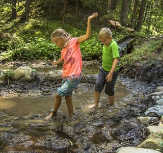 Woroun auf der Spur - Barfuss durch den Drachenwald