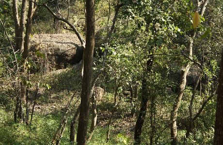 Sanjay Gandhi National Park