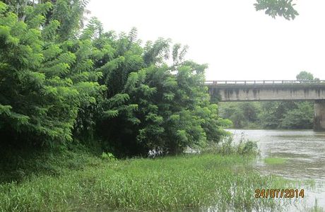 Achankovil River