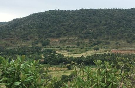 Attapadi Reserve Forest