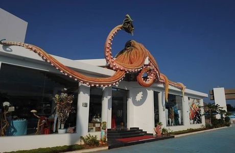 India Seashell Museum