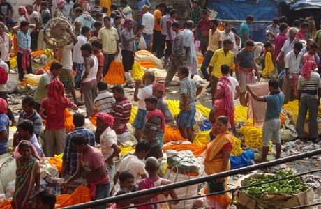 Malik Ghat Flower Market