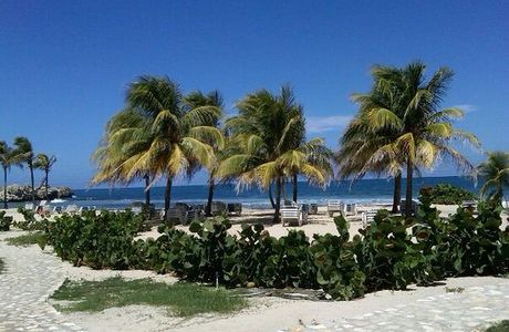 Eagle Tours & Adventures