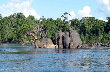 Essequibo River