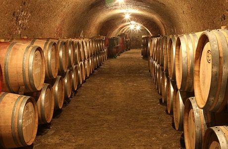 Grassi Family Cellar