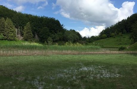 Lago Pratignano