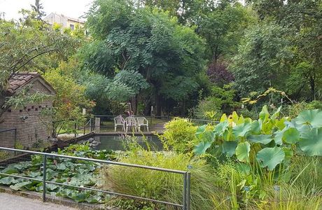 Orto Botanico di Ferrara