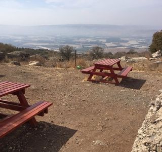 Eli Cohen Path