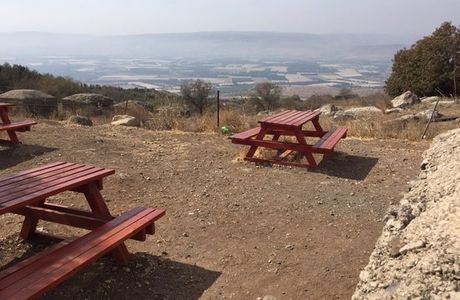Eli Cohen Path