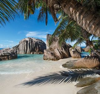 Destination VR
