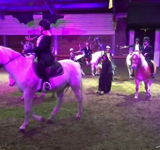 Theatre Equestre de Wattrelos