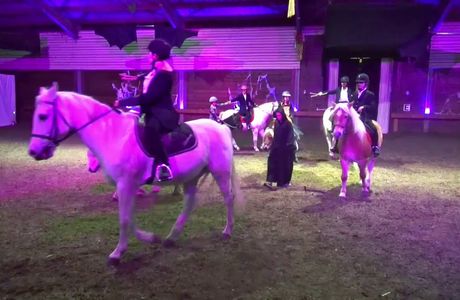 Theatre Equestre de Wattrelos