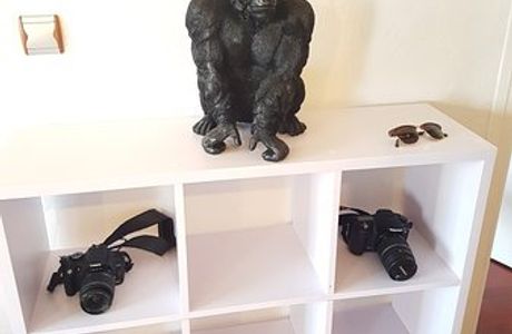 La Petite Lucarne