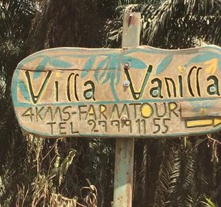 Villa Vanilla / Rainforest Spices