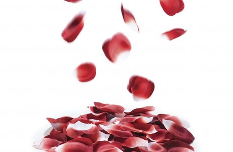 Rose Petal Boutique