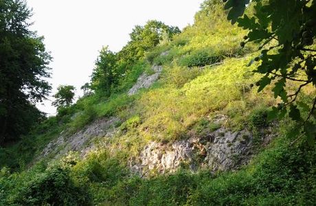 Kalkberg