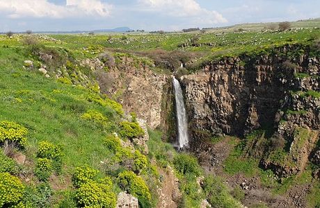 Gamla Nature Reserve