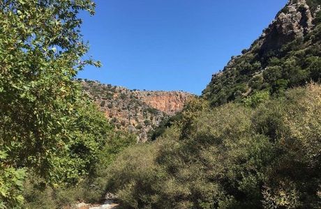 Aposelemis canyon