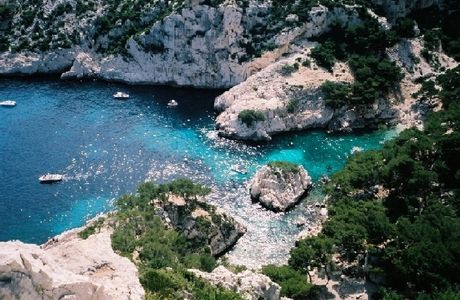 LeSavonnier des Calanques