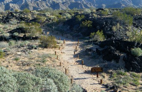 El Pinacate y Gran Desierto de Altar Biosphere Reserve