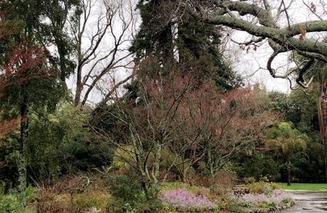 Victoria Esplanade Gardens