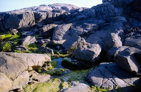 Northern Rocks