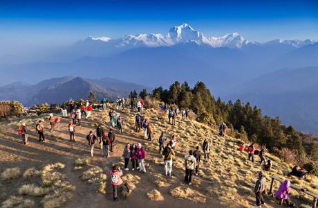 Poon Hill