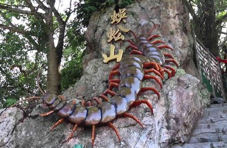 Centipede Temple