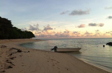 Sepilok Tropical Wildlife Adventure