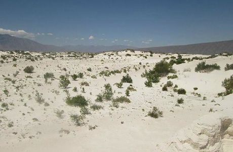 Cuatro Cienegas Reserve