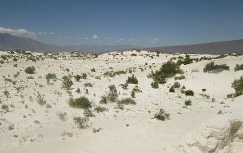 Cuatro Cienegas Reserve 1