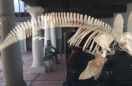 Intercultural Center for the Study of Deserts and Oceans