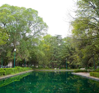 Avenida Presidente Masaryk