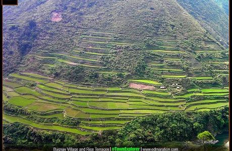 Tinglayan Rice Terraces