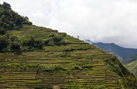 Batad Rice Terraces