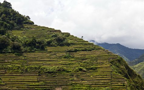 Batad Rice Terraces 1