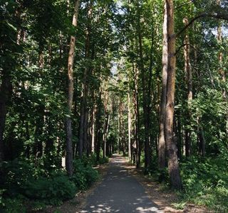 Bashkortostan Forester's Park