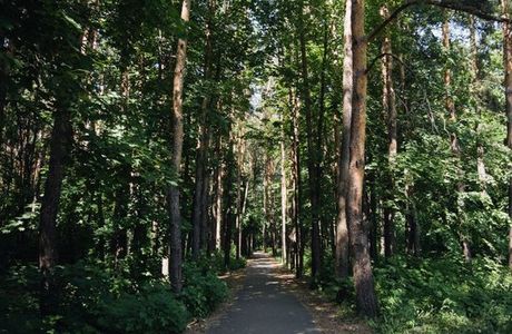 Bashkortostan Forester's Park