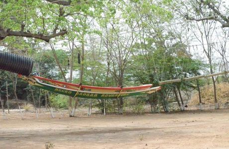 Accrobaobab Adventure