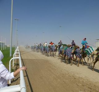 Al Shahaniya Racetrack