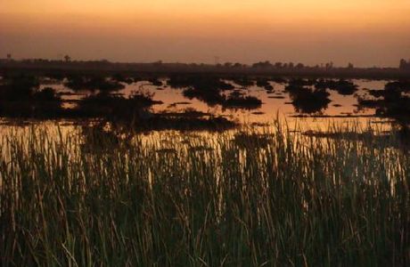 Lake Mirpurkhas