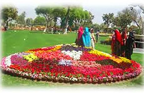 Cantonment Garden